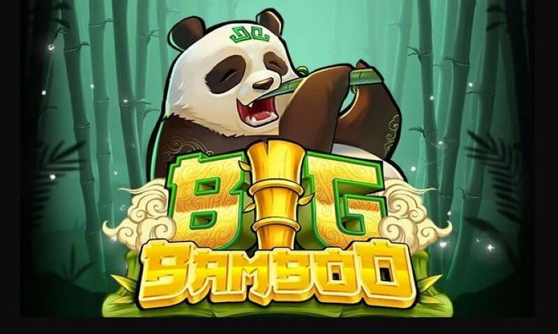 Big Bamboo Big Bamboo